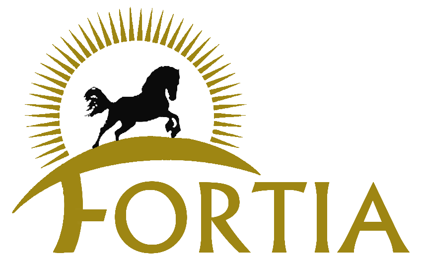 Fortia Inversiones y Consultoria Intl